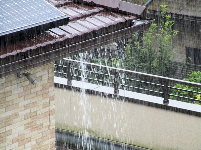 シロアリ駆除は雨の日でも行える シロアリ1番